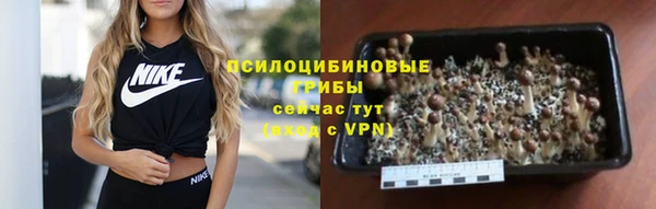 стаф Верхнеуральск