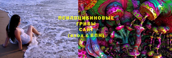 стафф Верхний Тагил