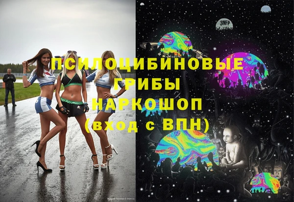 стафф Верхний Тагил