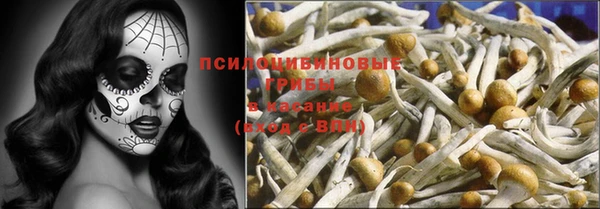 стафф Верхний Тагил