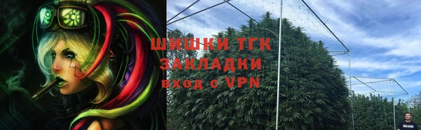 стафф Верхний Тагил